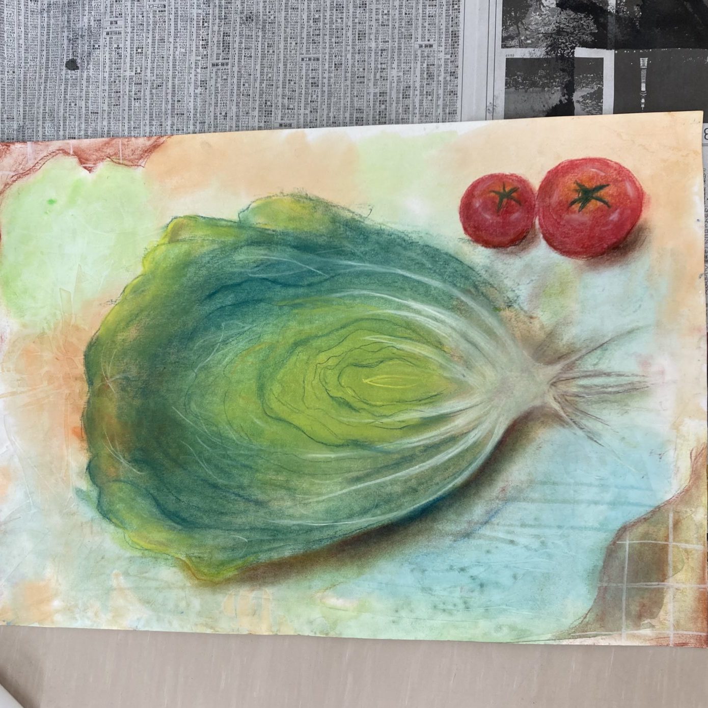 大きな白菜　根っこ付き